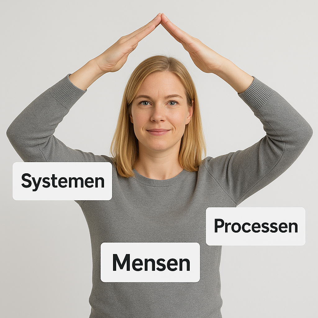Driehoek van succesvolle organisatie